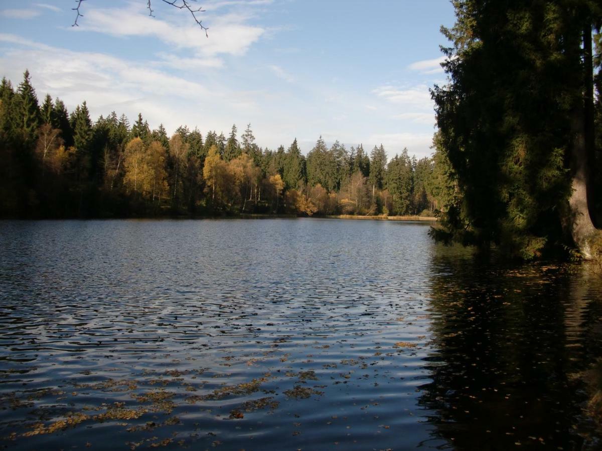 Ferienwohnung Arnika Inklusive Waeschepaket Braunlage Esterno foto