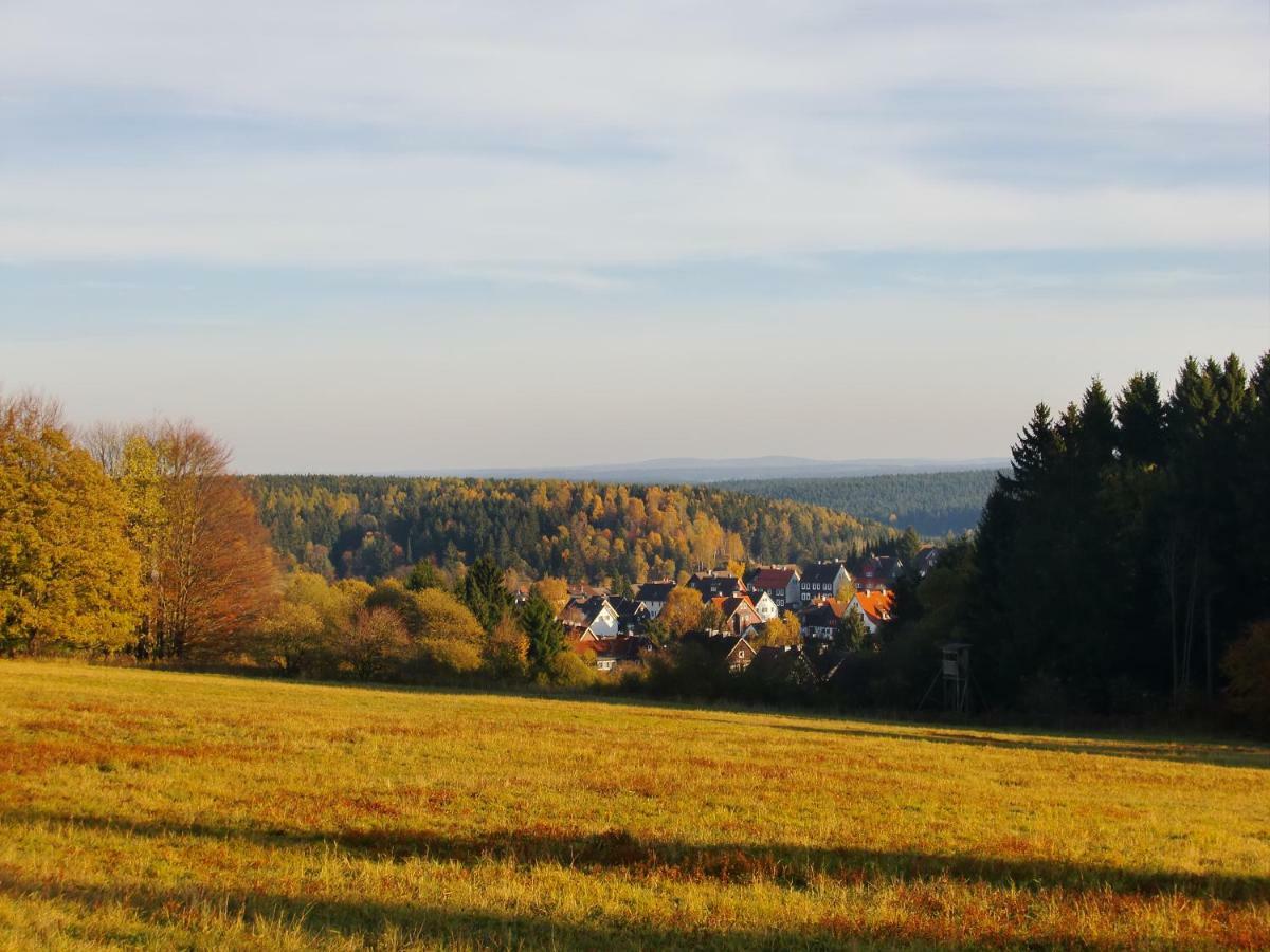 Ferienwohnung Arnika Inklusive Waeschepaket Braunlage Esterno foto