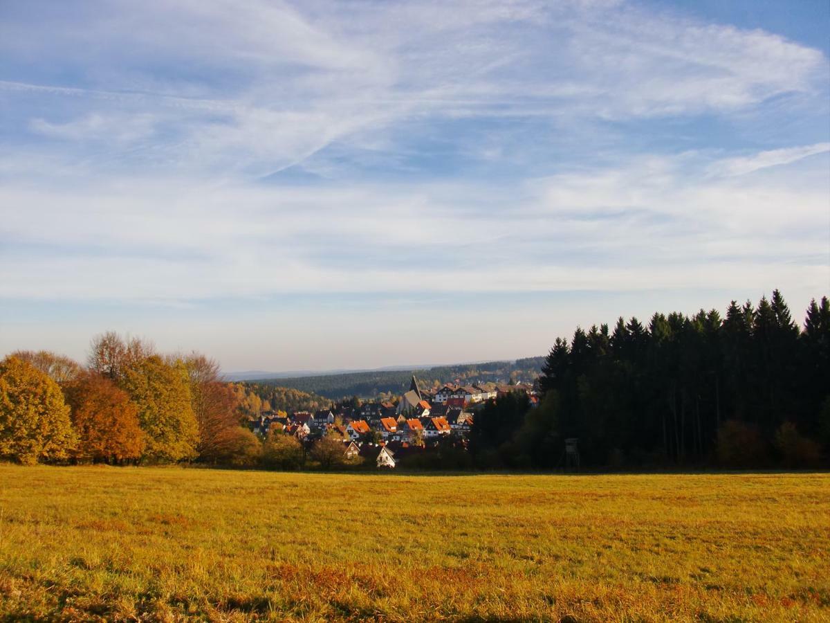 Ferienwohnung Arnika Inklusive Waeschepaket Braunlage Esterno foto