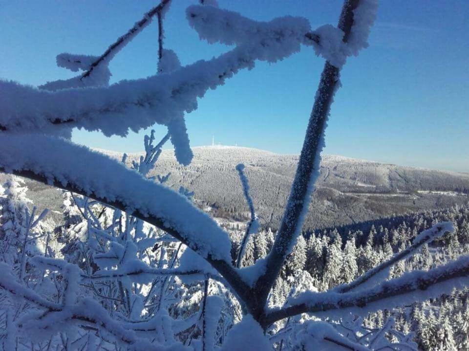 Ferienwohnung Arnika Inklusive Waeschepaket Braunlage Esterno foto