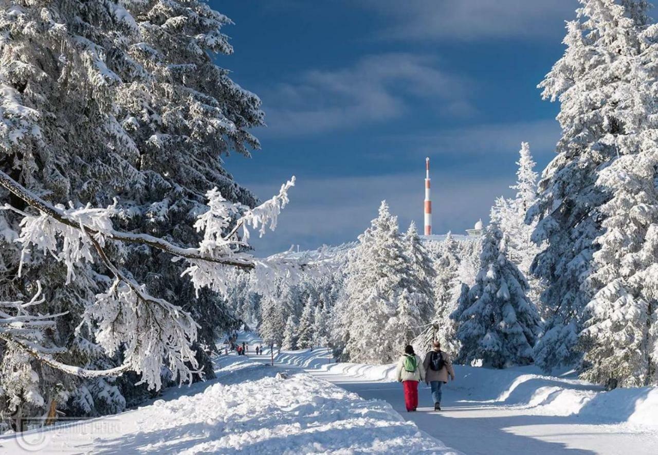 Ferienwohnung Arnika Inklusive Waeschepaket Braunlage Esterno foto